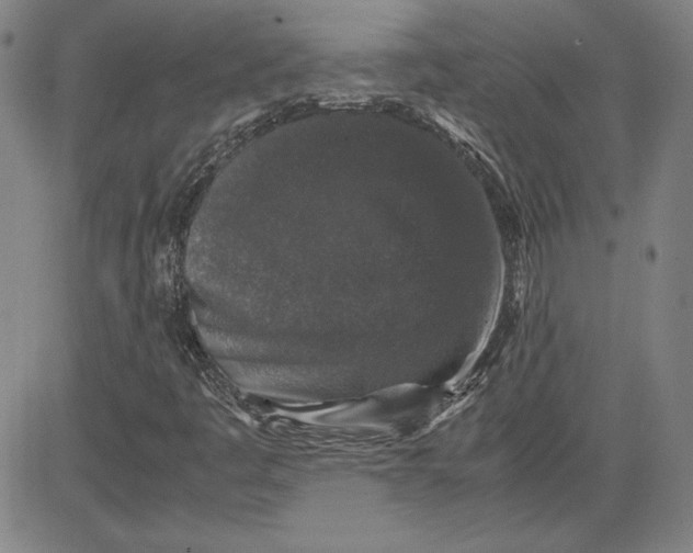 X0000080811445200701051138