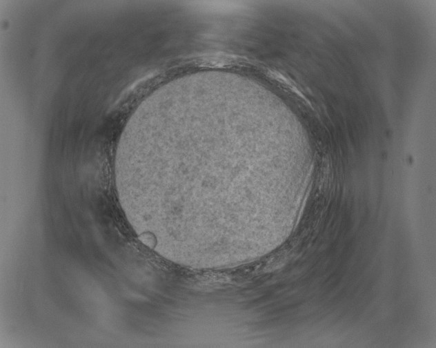 X0000080811446200701051138