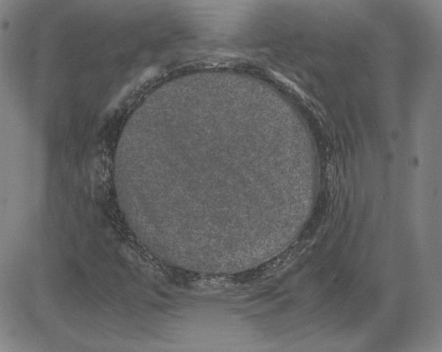 X0000080811447200701051138