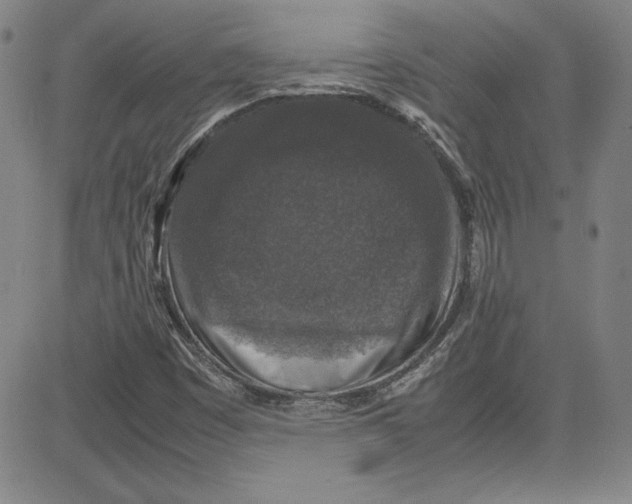 X0000080811449200701051138