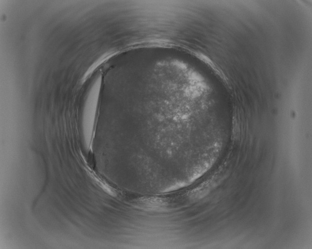 X0000080811450200701051138