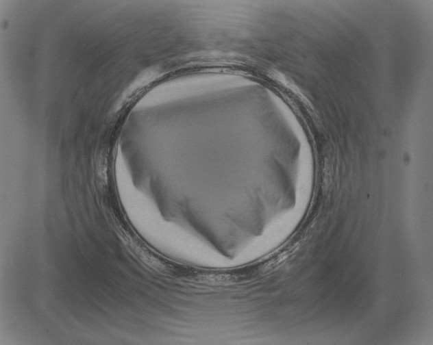 X0000080811451200701051138