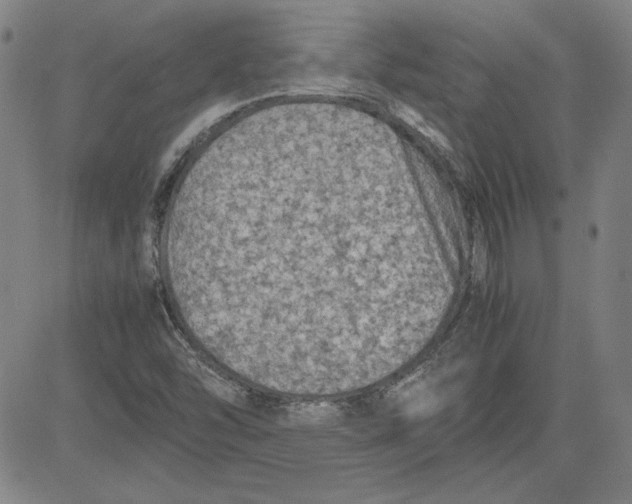 X0000080811454200701051138