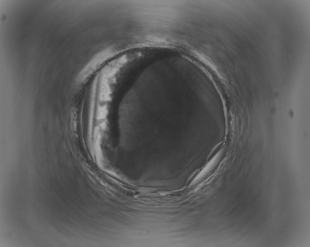 X0000080811455200701051138