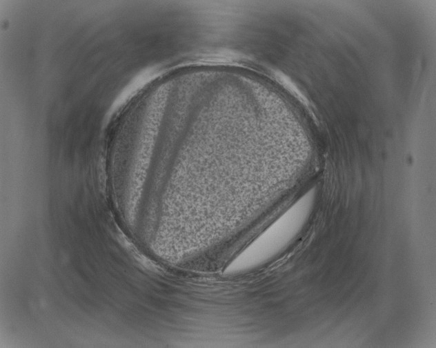 X0000080811456200701051138