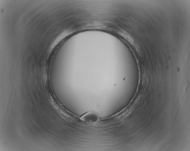 X0000080811458200701051138