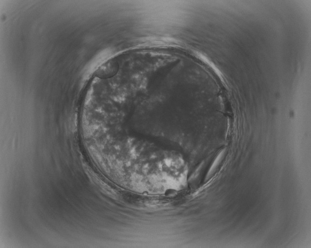 X0000080811459200701051138