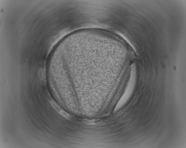 X0000080811460200701051138