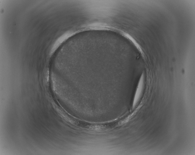 X0000080811461200701051138