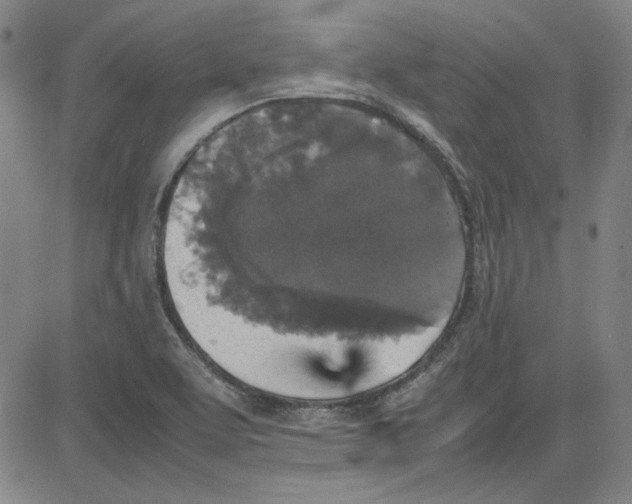 X0000080811463200701051138