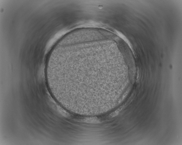 X0000080811464200701051138