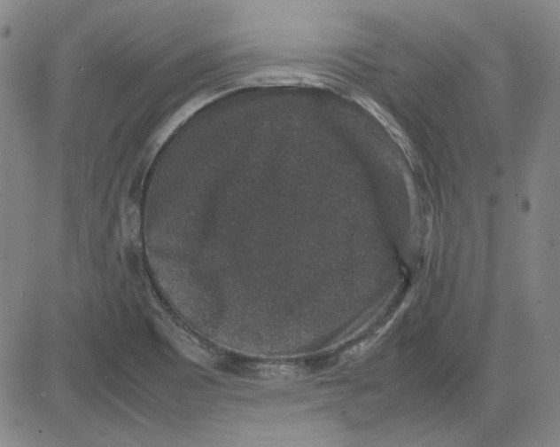 X0000080811465200701051138