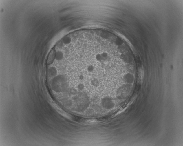 X0000080811467200701051138