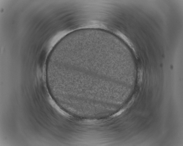 X0000080811468200701051138