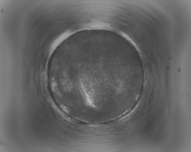 X0000080811469200701051138