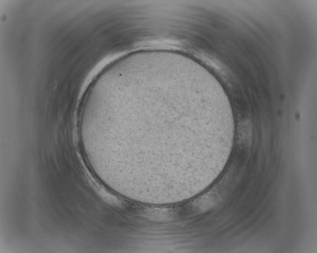 X0000080811470200701051138