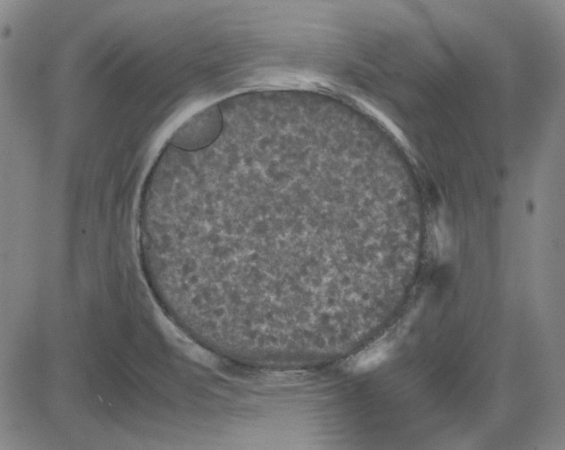 X0000080811471200701051138