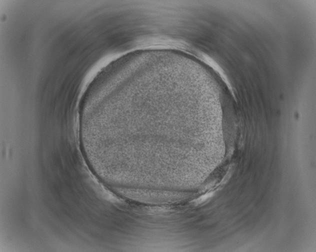 X0000080811472200701051138