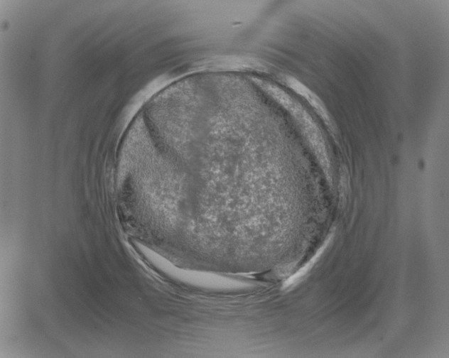 X0000080811473200701051138