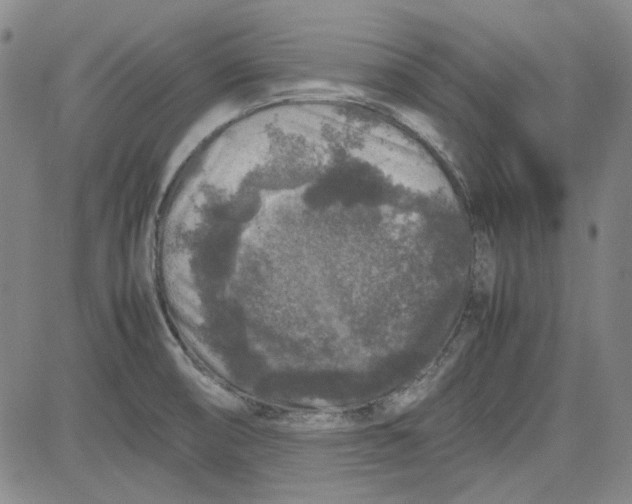 X0000080811474200701051138