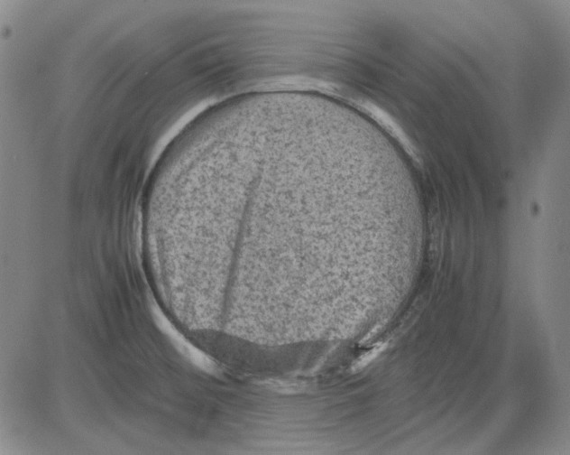 X0000080811476200701051138