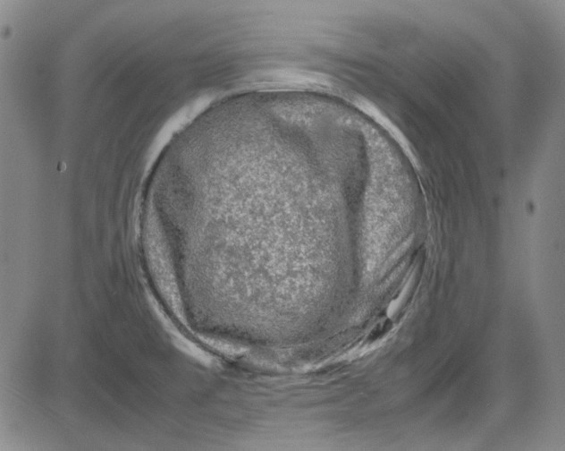 X0000080811477200701051138