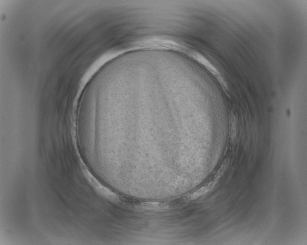 X0000080811478200701051138