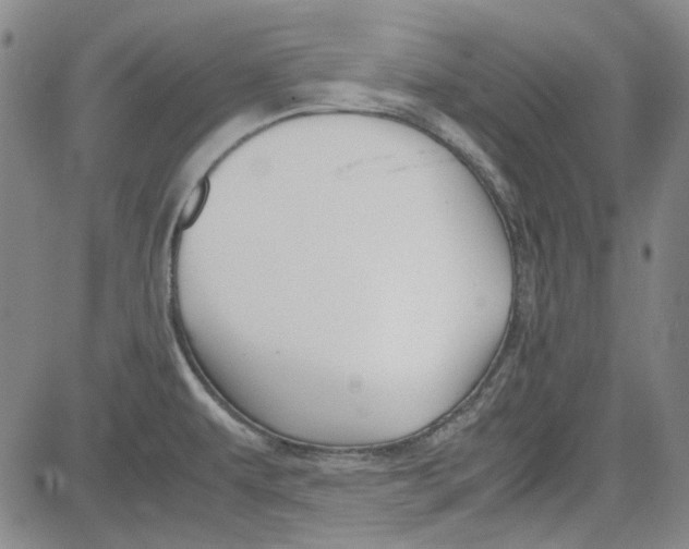 X0000080811479200701051138