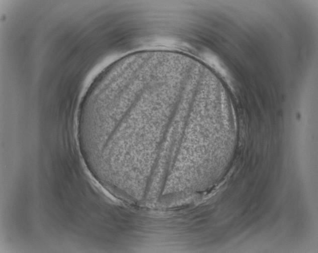 X0000080811480200701051138