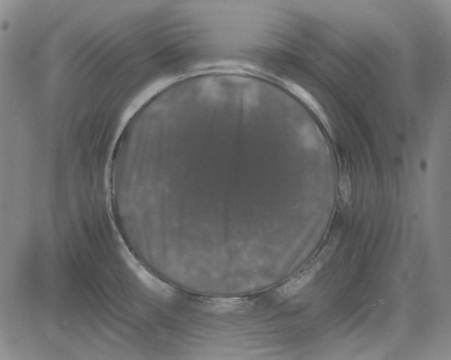 X0000080811482200701051138