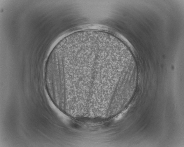 X0000080811483200701051138