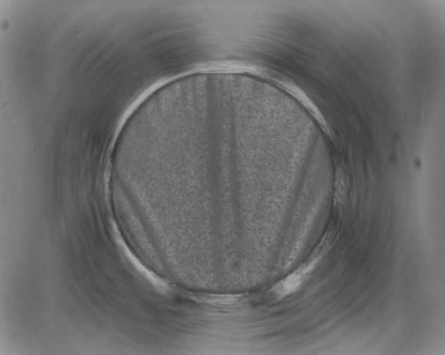 X0000080811484200701051138