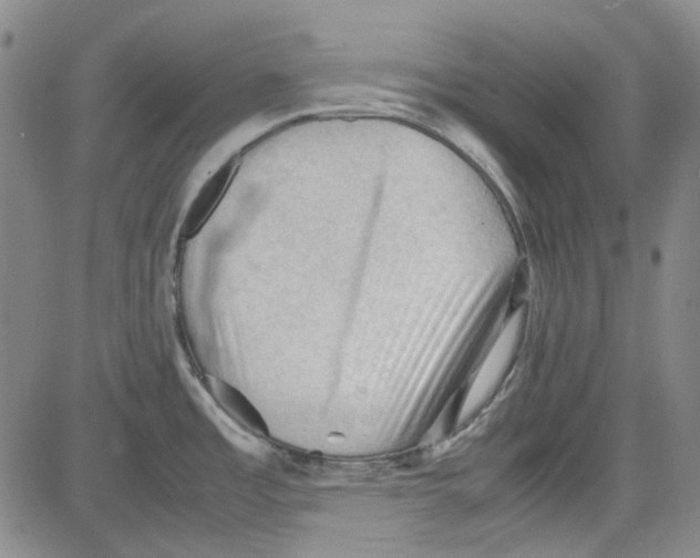 X0000080811485200701051138