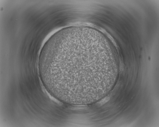 X0000080811486200701051138