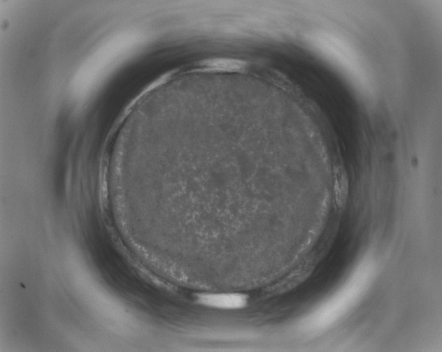 X0000080811487200701051138