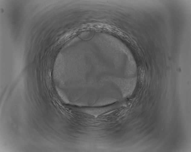 X0000080811489200701051137