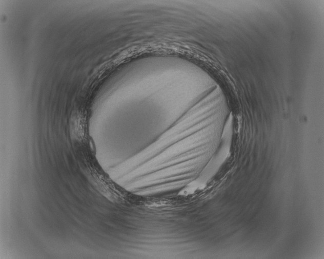 X0000080811490200701051137