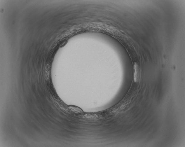 X0000080811491200701051137