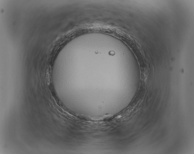 X0000080811493200701051137