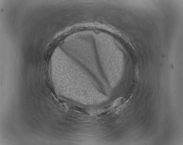 X0000080811494200701051137