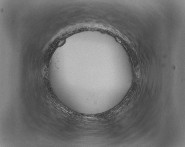 X0000080811495200701051137