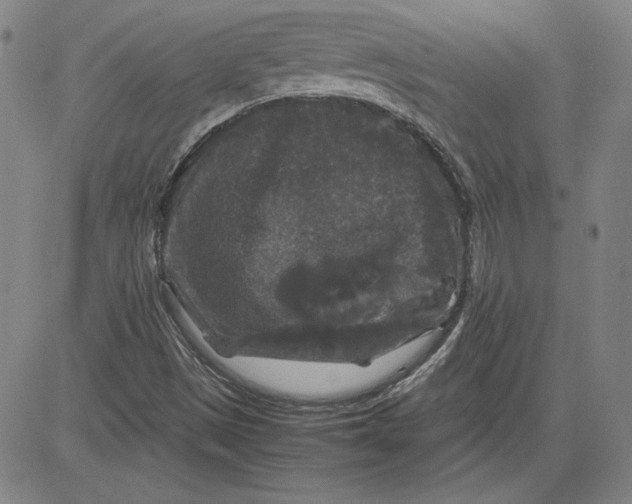 X0000080811497200701051137