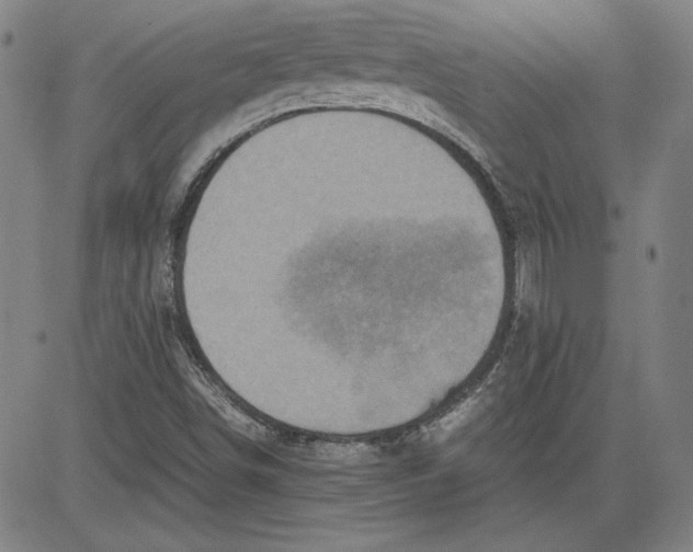 X0000080811498200701051137