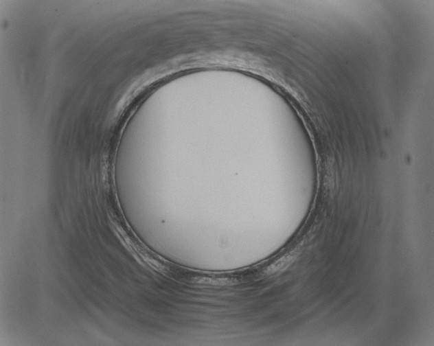 X0000080811499200701051137