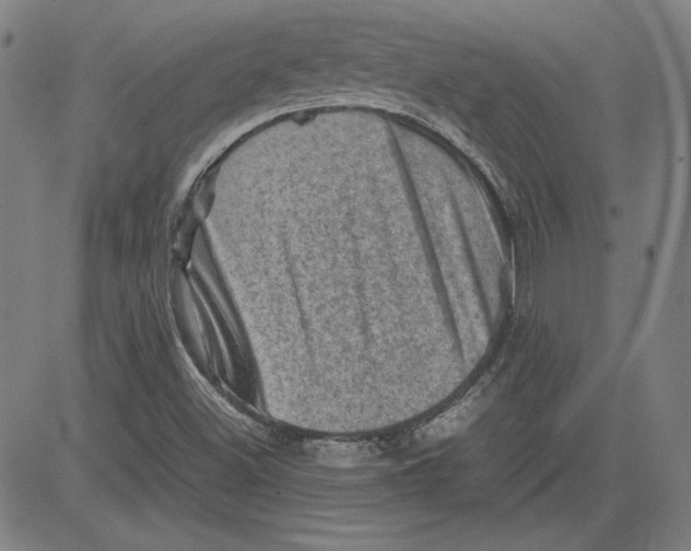 X0000080811500200701051137