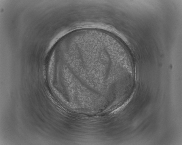 X0000080811501200701051137