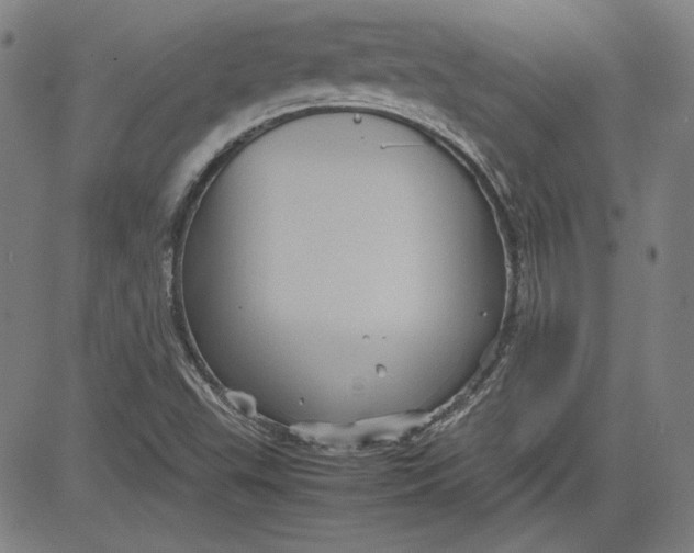 X0000080811503200701051137