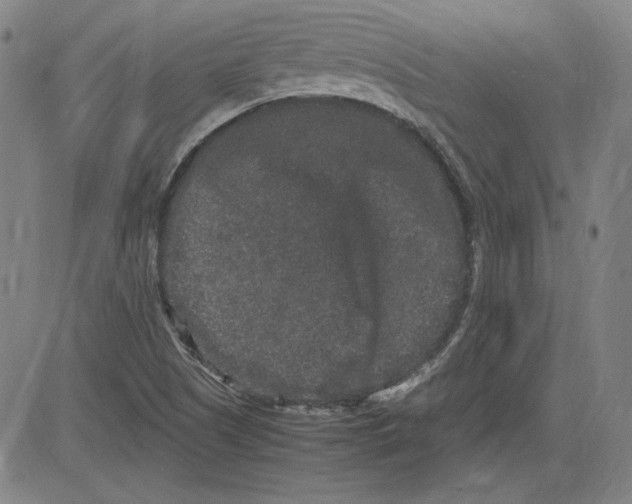 X0000080811505200701051137