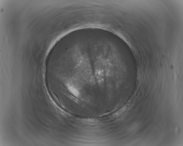 X0000080811508200701051137