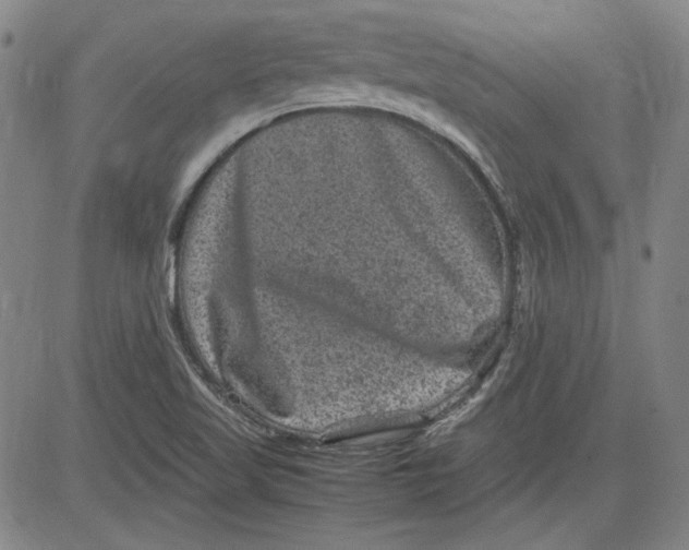 X0000080811509200701051137